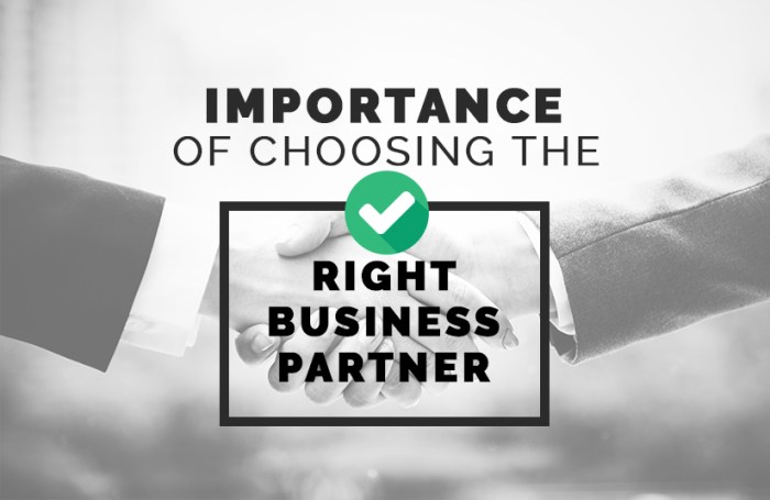 Importance of Choosing the Right Business Partner - Our Business Ladder