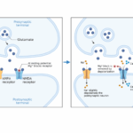 [Video] Narayana Health on LinkedIn: Air Pollution not only affects ...
