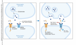 [Video] Narayana Health on LinkedIn: Air Pollution not only affects ...