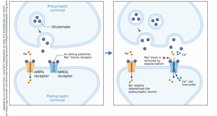 [Video] Narayana Health on LinkedIn: Air Pollution not only affects ...