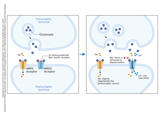[Video] Narayana Health on LinkedIn: Air Pollution not only affects ...