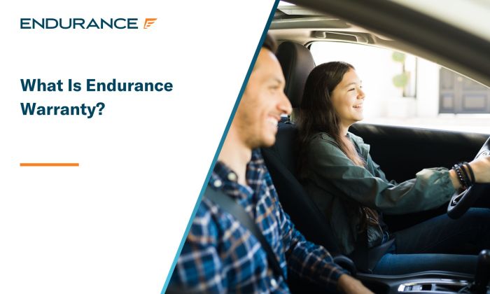 Endurance Vs Protect My Car at Zoe Oatley blog